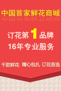 ���ǹݻ���������